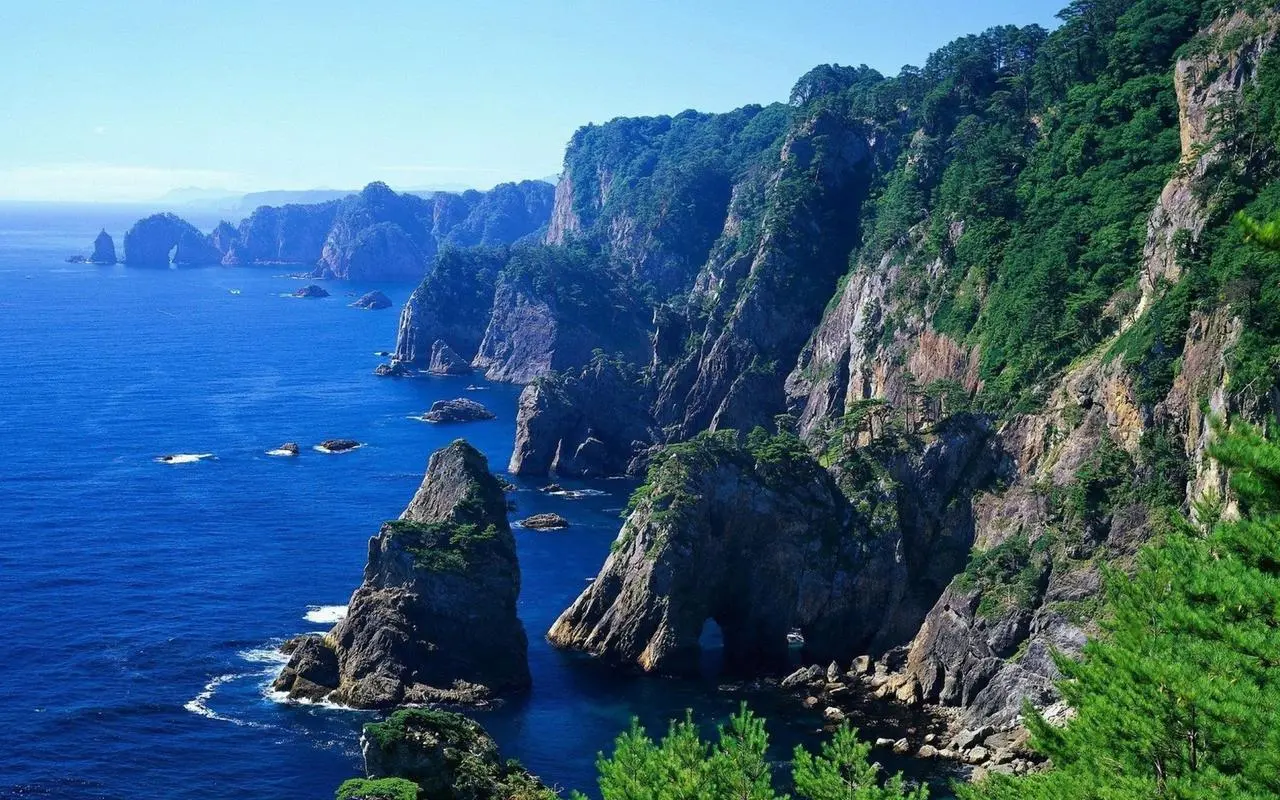 全自动节能高质量
